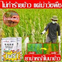 ราคา ไม่ทำร้ายข้าว แต่ฆ่าวัชพืช ยาฆ่าหญ้าในนาข้าว ไม่ทำร้ายข้าว เข้มข้นสุดๆ วัชพืชในนาข้าวต่างๆ หญ้าข้าวนก หญ้าหูหนู (23372943210)