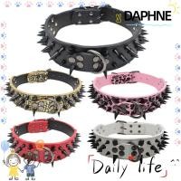 ราคา DAPHNE ปลอกคอสุนัข กว้าง 2 นิ้ว ปรับได้ ขนาดใหญ่ สําหรับสุนัขพิทบูล (15299057144)