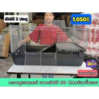 ราคา กรงหนูแฮมเตอร์ ขนาดจัมโบ้ขนาด 80 CM.พร้อมชั้นลอย เม่นแคระ ไจแอนท์ยุโรป (5279375853)