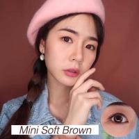 ราคา (อ่านก่อนสั่งนะคะ) คอนแทคเลนส์ขนาดมินิ เท่าตาจริง รุ่น Mini Soft Brown/ Gray by Kitty Kawaii (1864074938)