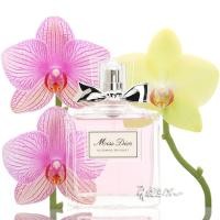 ราคา Dior/Dior spent overflow sweetheart lady eau DE toilette Miss Miss dances lasting and fresh 100 ml (4416938044)