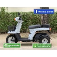 ราคา Honda Gyro-x บอร์นเงิน (8275755849)