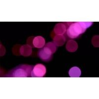 ราคา โคมไฟลาวา กากเพชร ( LED Glitter Lamp) ✨ (817707526)
