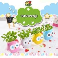 ราคา กระถางต้นไม้ - กระถางเซรามิก นกฮูก4สี ตุ๊กตาเซรามิกหัวหญ้า (14904718340)