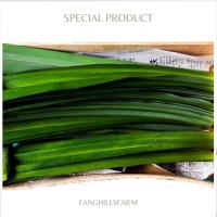 ราคา ค่าส่งถูก!! ใบเตยหอม 500 กรัม ใบเตยสด [สินค้าเกษตรชุมชน] ✅ มีการรับประกันสินค้าทั่วประเทศ (4279272520)