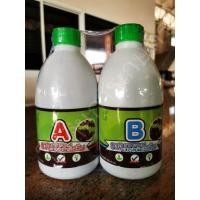 ราคา ปุ๋ย ab ,ปุ๋ยน้ำ AB ,ปุ๋ย A+B ปุ๋ยผักสลัด แพ็คคู่ ขนาด 500cc (22417200003)