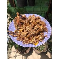 ราคา ปลาหมึกแห้ง(หนวดหมึก) (8969401015)