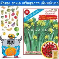 ราคา เมล็ดอวบอ้วน100�A ผักซอง สามเอ กวางตุ้งดอก ฮ่องกง #AA006 เมล็ดพันธุ์ กวางตุ้ง เมล็ดพันธุ์ผัก เมล็ดพันธุ์ ผักสวนครัว ต E (18971002602)