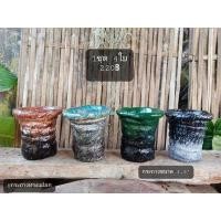 ราคา กระถางแคคตัสแฮนด์เมด ชุดละ220 ได้จุกๆ 4ใบขนาด 3.5" คละสี (7695792201)