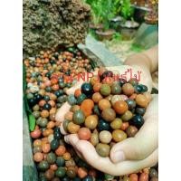ราคา เม็ดดินเผา ลิตรละ45บาท เม็ดดินเผาคุณภาพสูง ขนาด12 มม.สีสันสวยงาม คละสี เม็ดดินเผาโรยหน้ากระถาง เม็ดดินเผาปลูกต้น (4354597057)