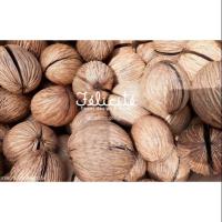 ราคา ลูกตีนเป็ด (ลูกไม้แห้ง ลูกไม้จริง) (4334279196)