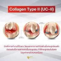 ราคา คอลลา ทู-ดี พลัส Colla2-D plus คอลลาเจนบำรุงข้อและกระดูกเสื่อม (10547218580)