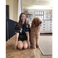 ราคา ถูกสุด489฿ชุดเซ็ทงานป้าย: LA LA BELLE (12297688110)