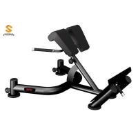 ราคา UFC Angled Back Extension (Hyper Extension Bench) (19161391855)