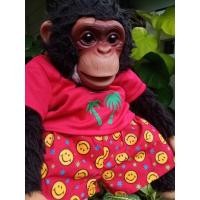 ราคา หุ่นมือตุ๊กตาลิงหน้ายาง.. น้องชิมแฟนซีปังคุง​ ขนาด16นิ้ว (13999868689)