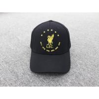 ราคา หมวกลิเวอร์พูลหมวกแชมป์พรีเมียลีค2019-2020 #LFC#Liverpool (5247252382)