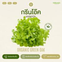 ราคา กรีนโอ๊คอินทรีย์ Organic Green Oak อินทนิลออร์แกนิคฟาร์ม ปลูกธรรมชาติมาตรฐานเกษตรอินทรีย์ เก็บใหม่ทุกออเดอร์ (20481300266)