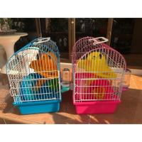 ราคา กรงหนูแฮมเตอร์ 22*32*32 (1169880761)