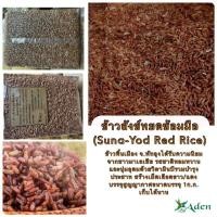 ราคา ข้าวสังข์หยด ขนาด 1 กก. (23567485955)