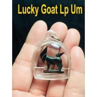 ราคา แพะหลวงพ่ออ่ำ เขาควายแกะ วัดหนองกระบอก (14186614662)