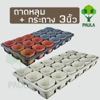 ราคา PAULA เซ็ทถาดหลุม 18หลุม พร้อมกระถาง 3นิ้ว 18ใบ กระถางแปดเหลี่ยม ถาดเพาะ ถาดแคคตัส กระถาง แคคตัส กระบองเพชร (18670314170)