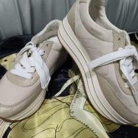 ราคา รองเท้าผ้าใบเสริมส้น Zara ไซส์ 36 (20473716750)