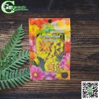 ราคา เมล็ดพันธุ์ดอกดาวเรือง ฝรั่งเศส (French Marigold) Green Garden (3942196966)
