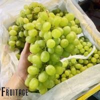 ราคา องุ่นเขียวไร้เมล็ด (1KG) Seedless Green Grape (CHN) ~ลดพิเศษ~ องุ่นไร้เมล็ด องุ่นเขียวไร้เม็ด องุ่นทิมสัน องุ่นทอมสัน (13721054914)
