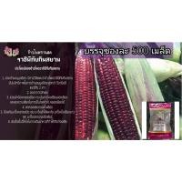 ราคา เมล็ดพันธุ์ข้าวโพดทานดิบราชินีทับทิมสยามชนิดซองละ 500 เมล็ด (8467451231)