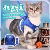 ราคา สายจูงสุนัข สายจูงแมว สายจูง สายจูงสัตว์เลี้ยง สายจุงแมว สายจูงแมวรัดอก สายรัดอกสุนัข สายจูงกระต่าย ปรับได้นุ่มและระบายอ (22940630982)