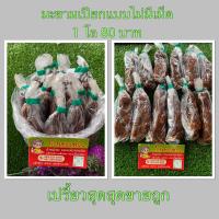 ราคา มะขามเปียก ไม่มีเม็ด 1 กิโล 80 บาท มี 12 ชิ้น (22451478512)