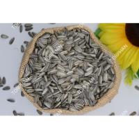 ราคา เมล็ดทานตะวันเพาะงอก (23325528672)