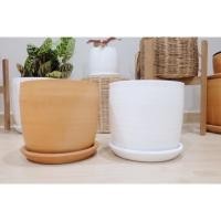 ราคา กระถางต้นไม้ กระถางดินเผา 12 นิ้ว พร้อมจานรอง แข็งแรงทนทาน (3155336593)