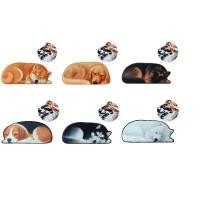 ราคา พรมเช็ดเท้ากำมะหยี่ รูปสุนัข ขนาด 40x86 (ชิบะ,โกลเด้น,เยอรมันเชพเพิร์ด,บีเกิ้ล,ไซบีเรียน,ซามอย) (17163007825)