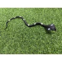 ราคา งูปลอม งูยาง งูยางไล่นก งูเห่ายาง ยาว 55 ซม. พร้อมส่ง (8016607897)