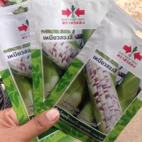 ราคา ข้าวโพดขาวม่วง (2583075527)