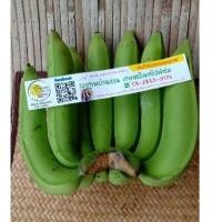 ราคา (ส่งฟรี)กล้วยหอมทอง organic ได้รับใบรับรองออร์แกนิคไทยแลนด์ จากกรมวิชาการเกษตร (TAS 55891) ผลไม้ ผักผลไม้ อินทรีย์ (9179008960)