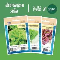 ราคา เมล็ดผัก เมล็ดผักกาดหอม เมล็ดผักสลัด เมล็ดผักกาด ผักกาดหอม ผักสลัด ผักกาด สลัด l เจียไต๋ เมล็ดพันธุ์ผัก ปลูกผัก (6834336072)