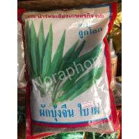 ราคา เมล็ดผักบุ้งจีนไผ่เขียว ผักบุ้งใบไผ่ตราลูกโลก ขนาด 1 กิโลกรัม เมล็ดผัก เมล็ดพืช (8767301919)