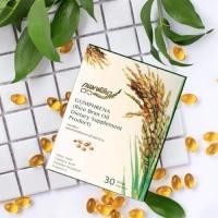 ราคา น้ำมันรำข้าว จมูกข้าว Gomphrena (กอมฟลีนา) (12729614717)