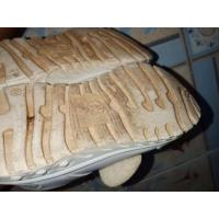 ราคา รองเท้าพละสีขาวเด็กอนุบาล (23242691251)