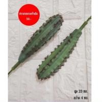 ราคา ปราสาทนางฟ้าเล็ก กระบองเพชรปลอม (7033288751)