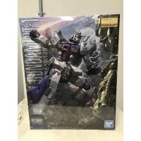 ราคา Rx-78NT-1 GUNDAM NT-1 (15628188308)