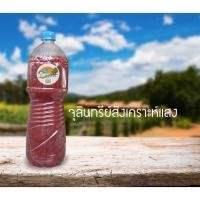 ราคา จุลินทรีย์สังเคราะห์แสง เข้มข้น นน.1,500 ml. (6676583630)