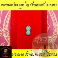 ราคา พระแท้ พระนาคปรกใบมะขาม หลวงพ่อสาคร มนุญโญ วัดหนองกรับ ระยอง เนื้อฝาบาตร ปี2553 หลังยันต์ ประกัน ศุขพระ (11082170193)
