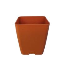 ราคา กระถาง กระถางพลาสติก กระถางต้นไม้ กระถางปลูกต้นไม้ กระถางต้นไม้ กระถางต้องไม้ ทรงสี่เหลี่ยม ขนาด 3.2 นิ้ว สูง 4.4 นิ้ว (10019819869)