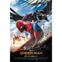 ราคา โปสเตอร์ หนัง Spider Man (732847289)