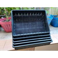 ราคา ถาดเพาะชำอเนกประสงค์ ถาดเพาะเมล็ด ถาดอเนกประสงค์แบบมีรูระบายจำนวน 5 ใบ (4778732964)