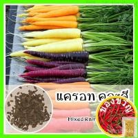 ราคา เมล็ดอวบอ้วน100%พร้อมส่ง ❗❗ รหัส 026 เมล็ดพันธุ์แท้ OP แครอท หลายสี เมล็ดคละกัน รสชาติหวาน อร่อย แครอทคละสี - Mixed Rain (22117150827)