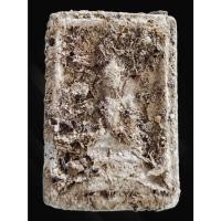 ราคา #พระแหวกม่านพิมพ์อกใหญ่เนื้อผงหลังเจดีย์(ลงกรุ)หลวงพ่อกวย วัดโฆสิตาราม ชัยนาท วัดพระแก้ว ปี2508 หลวงพ่อกวย ท่านสร้างเองก (21483594790)